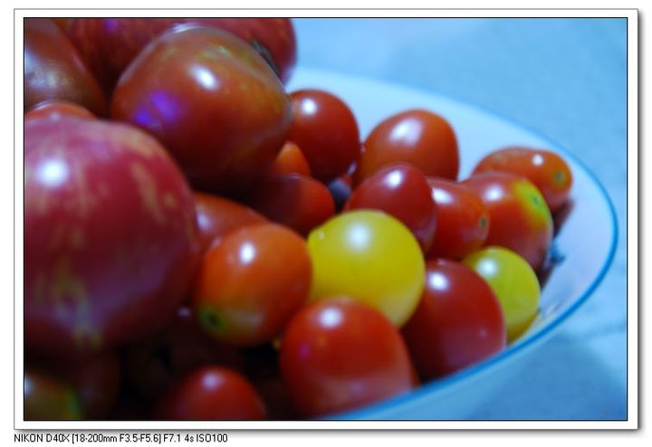 【中秋寄语--随拍水果!摄影图片】家中纪实摄影