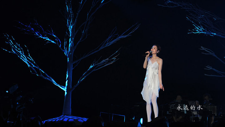 【2011王菲巡回演唱会-南京站·南京 2011.05