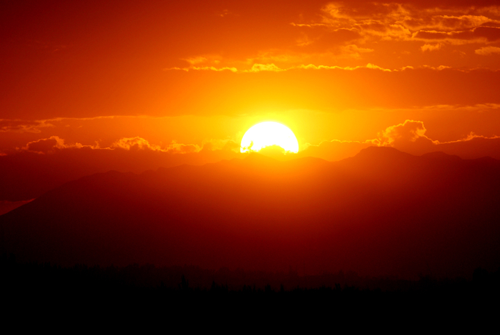 夕阳红