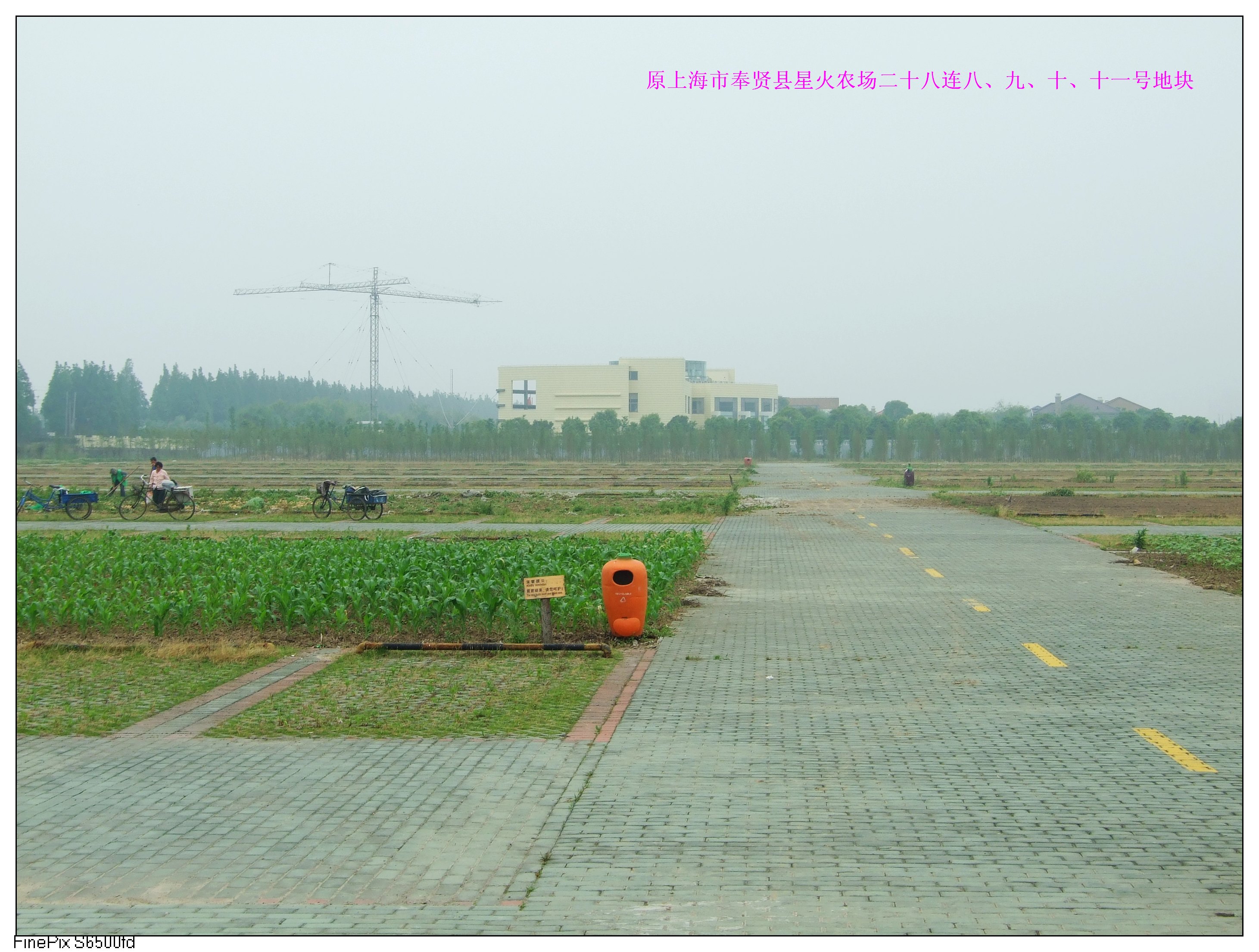 上海自贸区星火片区简介-上海杭州湾经济技术开发有限公司
