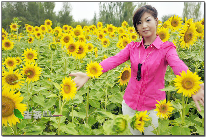 美女如花