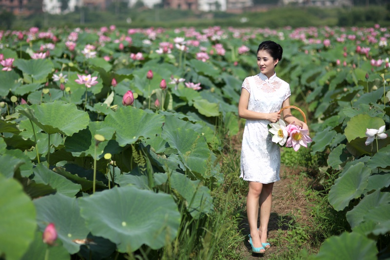 荷花仙子