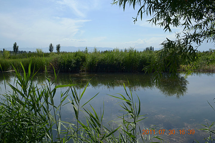 【鱼塘摄影图片】新疆伊犁郊区风光摄影_振心