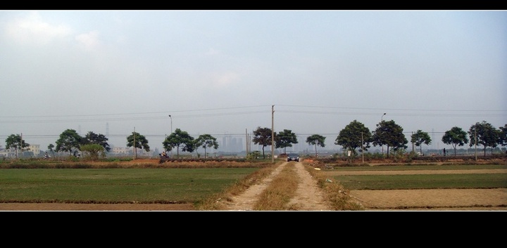 草地符号 - 索尼 T500 样张 - PConline数码相机