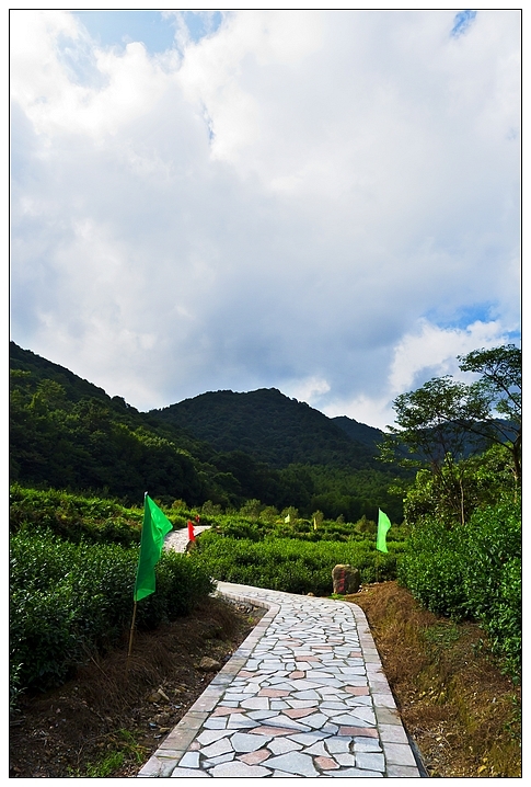 北仑森林植物园即太白坡旅游步道共p