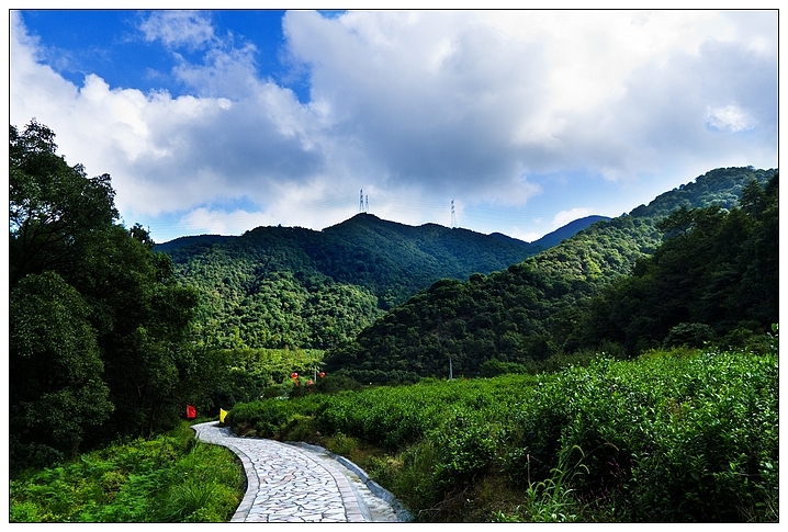 北仑森林植物园即太白坡旅游步道共p