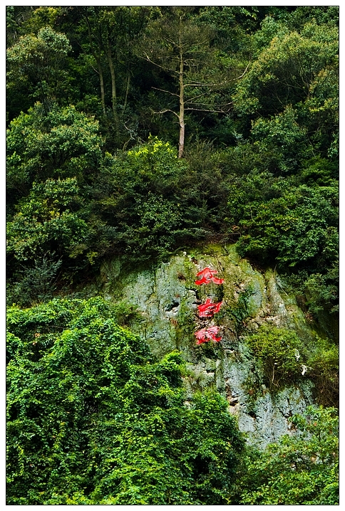 北仑森林植物园即太白坡旅游步道