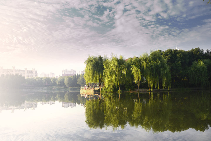 【金桥公园晨拍摄影图片】浦东金桥风光旅游摄