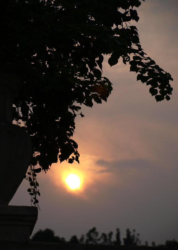 夕阳下的剪影 (共p)