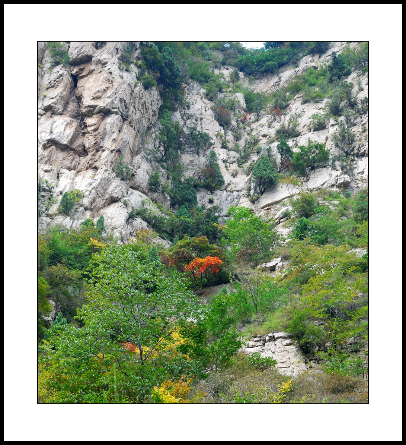 2011-10淄川峨庄乡--潭溪山风景区