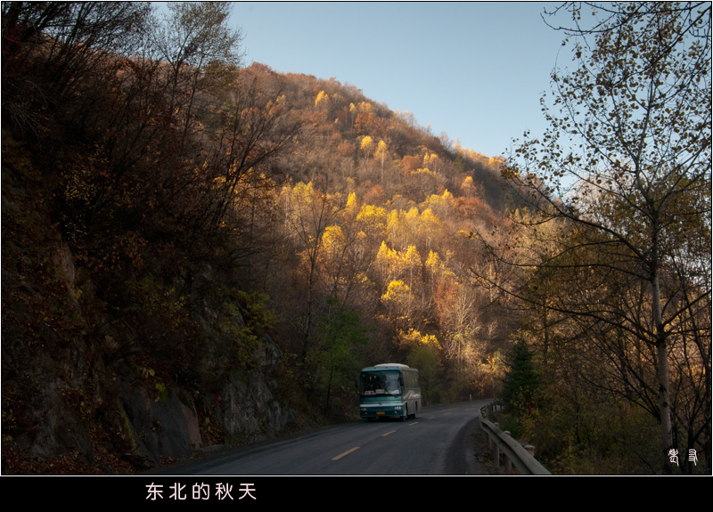 【东北的秋天摄影图片】黑影风光摄影_老