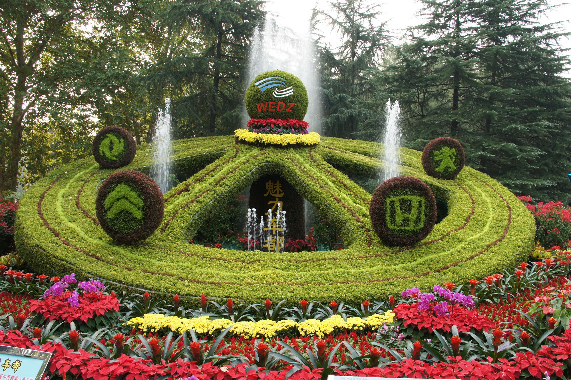 武汉解放公园花卉展