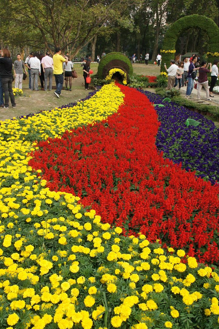 武汉解放公园花卉展
