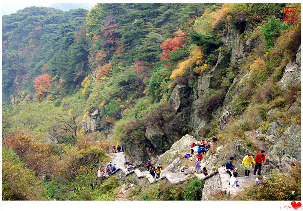 泰山秋景