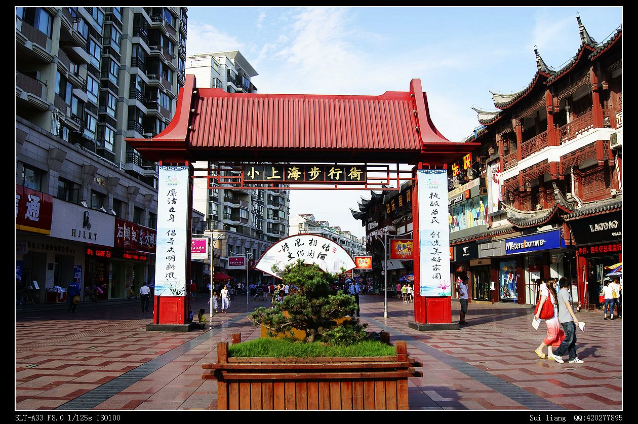 上海南汇