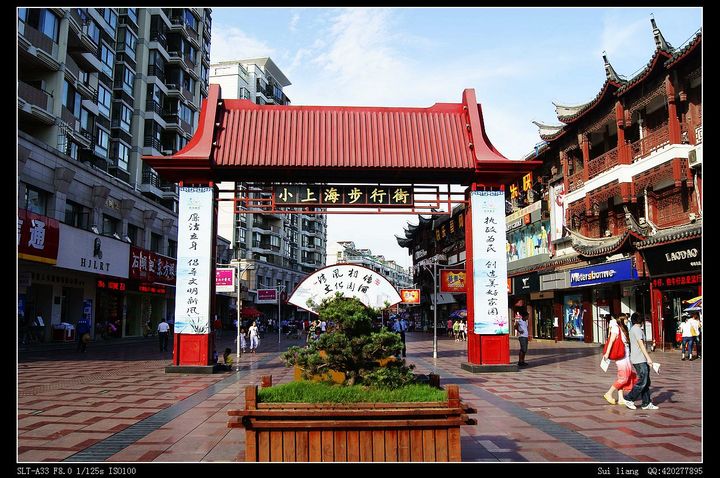 上海南汇