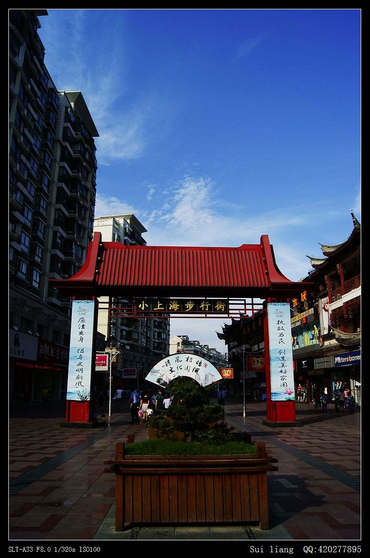 上海南汇