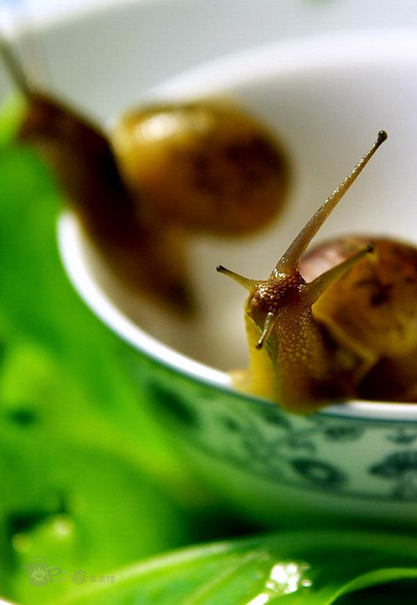 【蜗居--《我很牛》续集摄影图片】室内生态摄