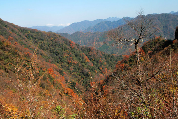 光雾山风光陈家山秋意