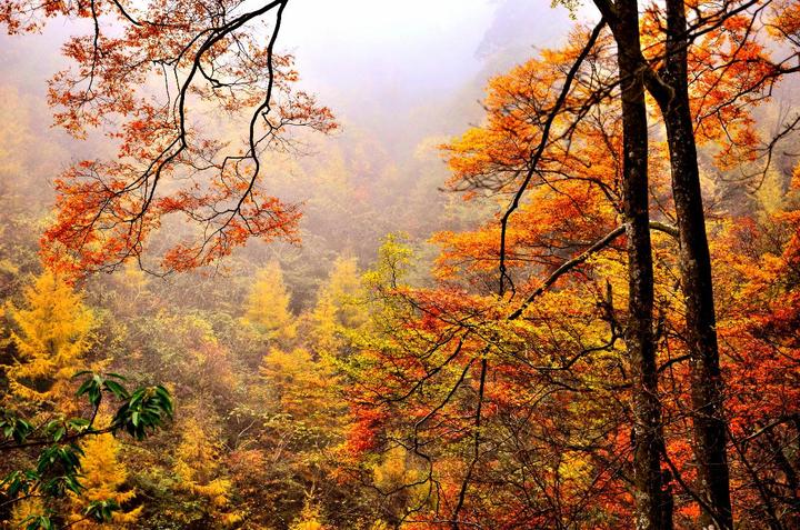 光雾山秋景