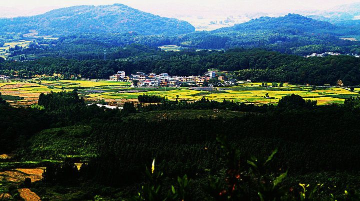 山村风光