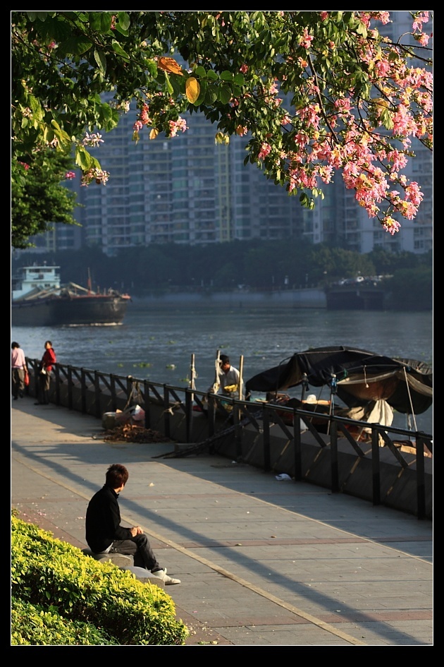 江边风景