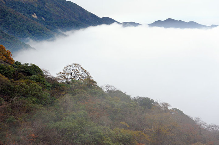 雾迷梵净山·二