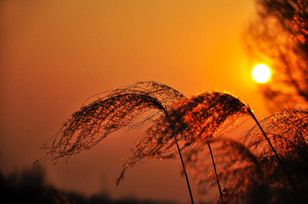 夕阳西下