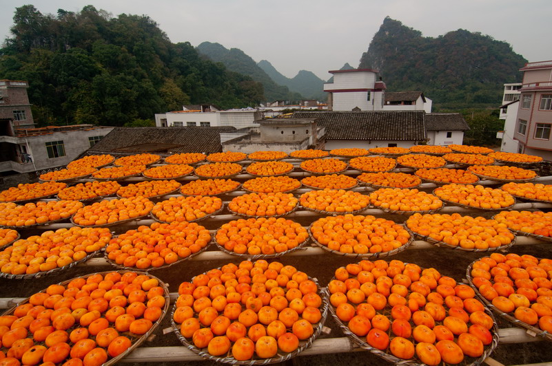 恭城红岩村纪事