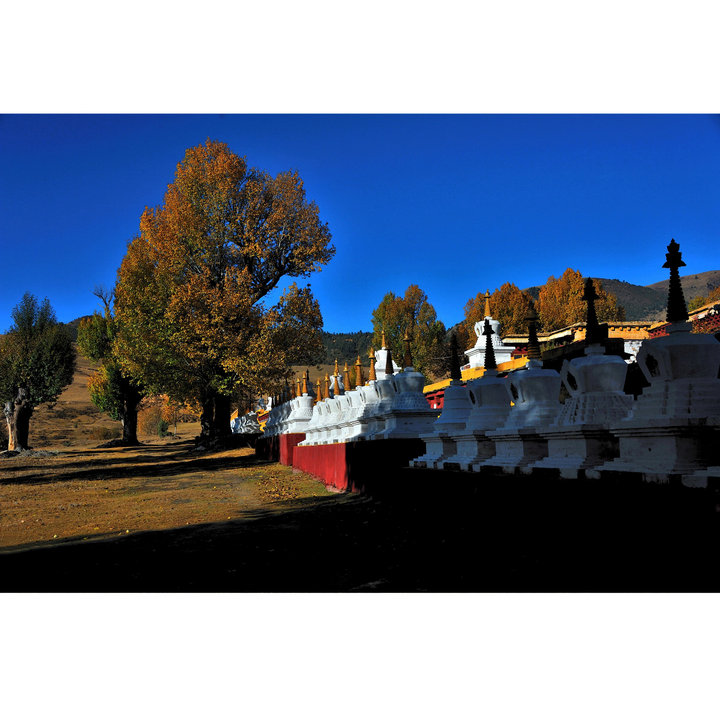 向阳寺