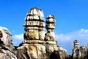 Stone forest