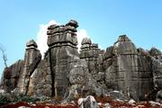 Stone forest