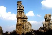 Stone forest