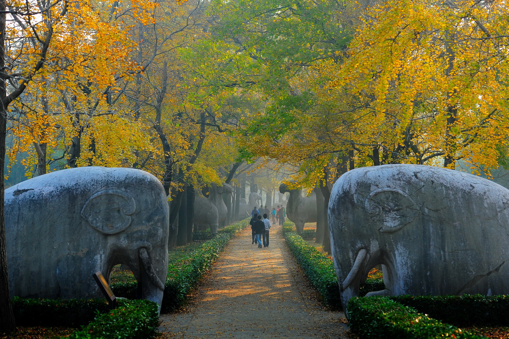 2023明孝陵神道游玩攻略,南京最美600米。石象路位于明...【去哪儿攻略】