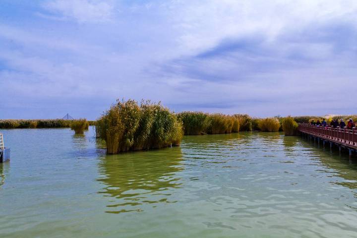 沙湖美景