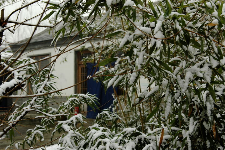 农家院雪景