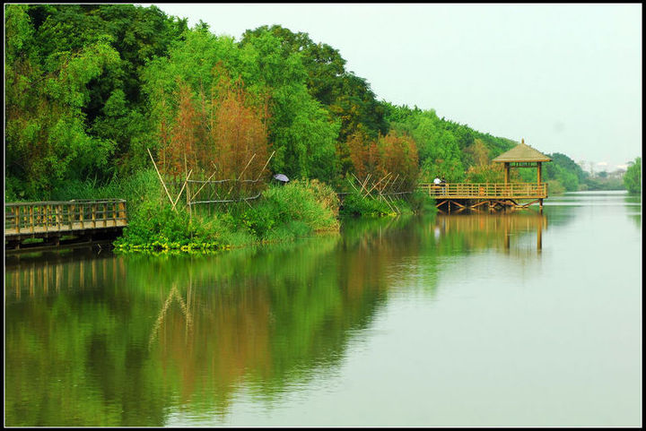 广州南沙湿地公园