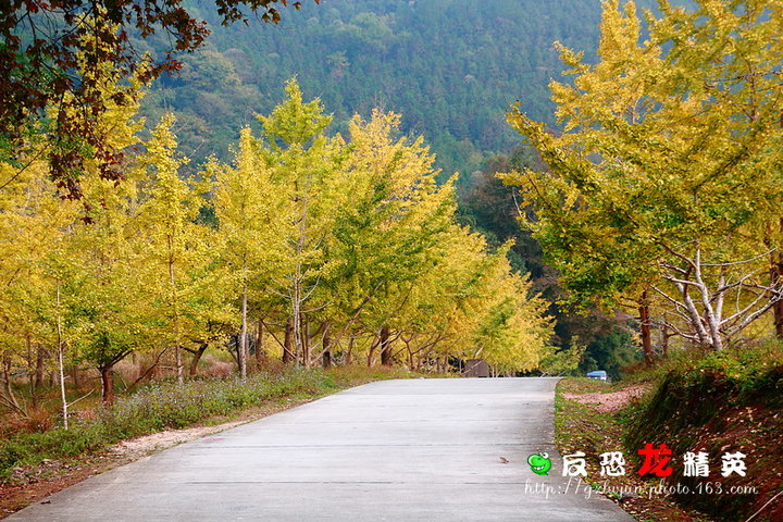 南雄帽子峰林场 (共 36 p)