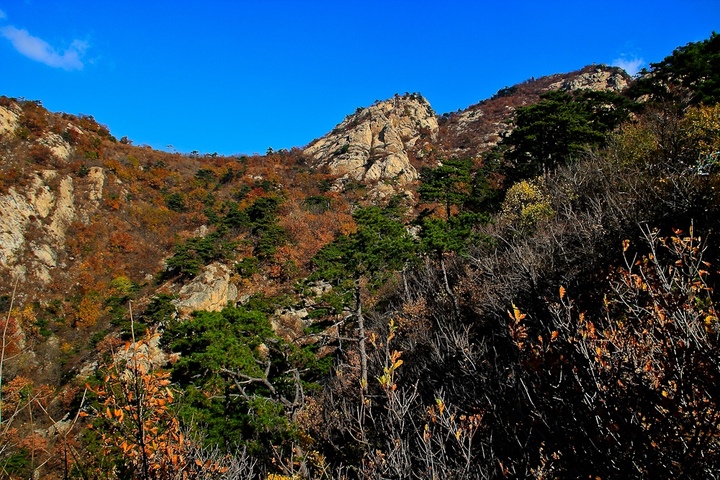 【青龙山秋色 (一)摄影图片】营口盖州圈青龙山风光