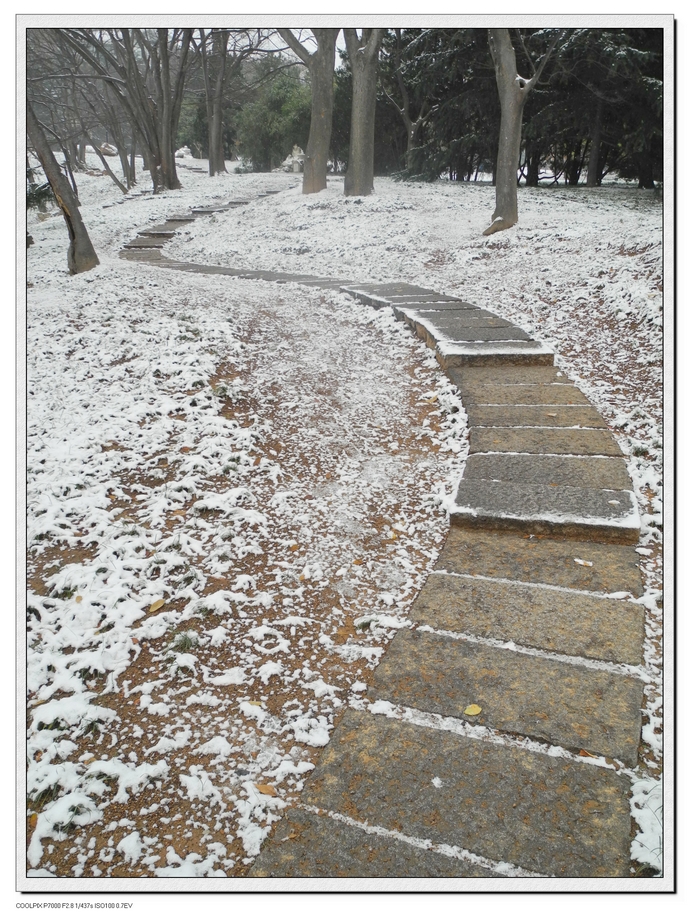 【2011年"大雪"节气后青岛雪景摄影图片】青岛纪实_众