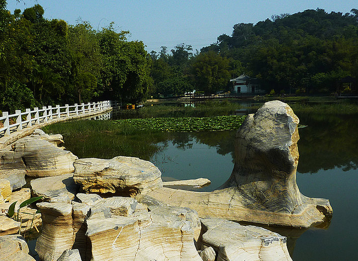 "南宁狮山公园景物随拍"
