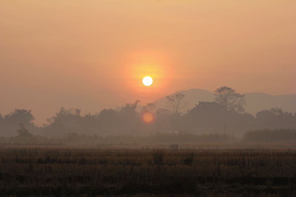 乡村的早晨