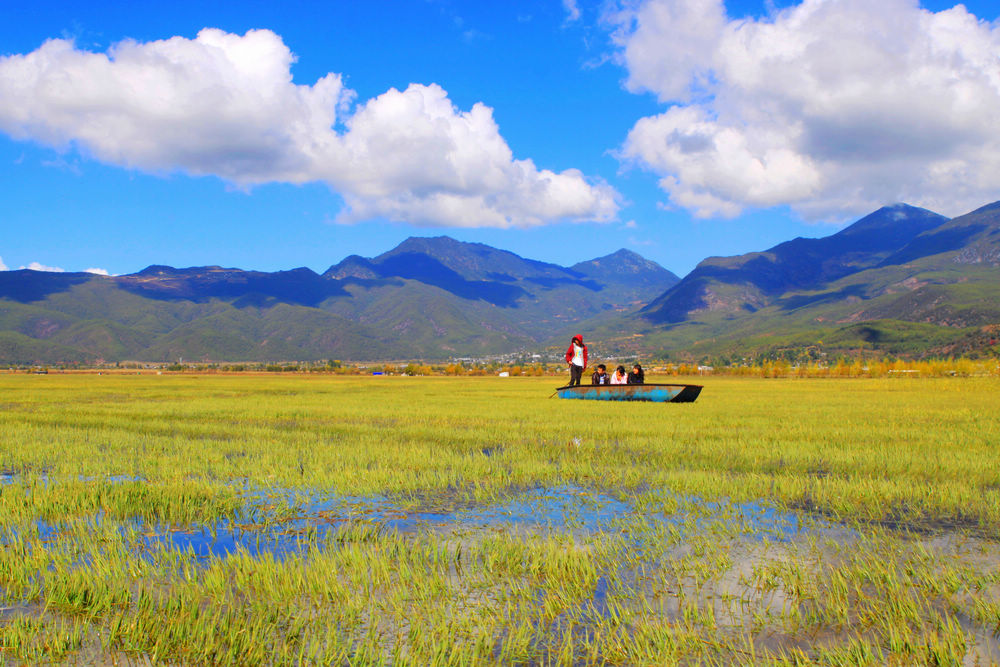 丽江拉市海风光