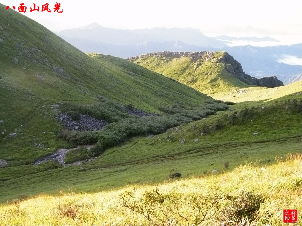 八面山风景之---高山草甸