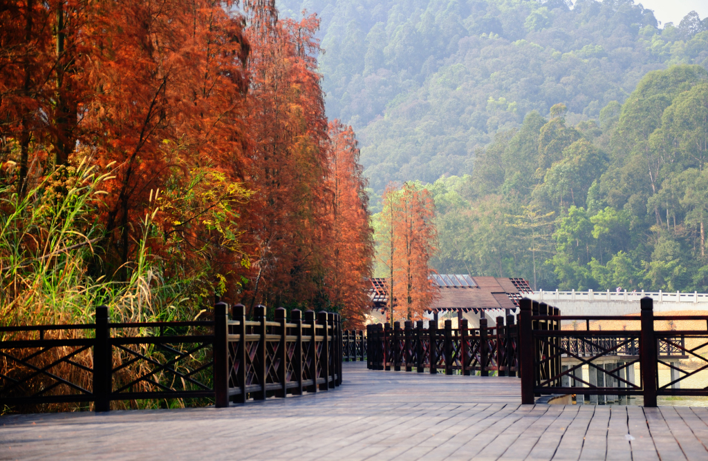 广州大夫山森林公园