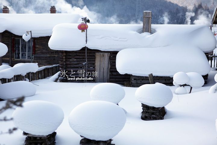 【冰雪之旅-雪乡 哈尔滨 老秃子山摄影图片】雪
