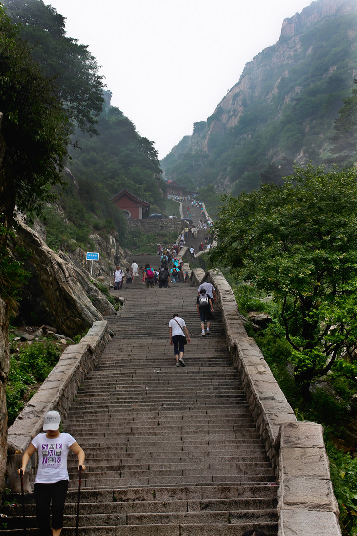 泰山
