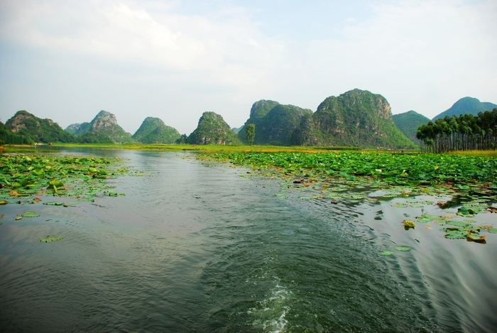 云南丘北普者黑湿地风光(共p)