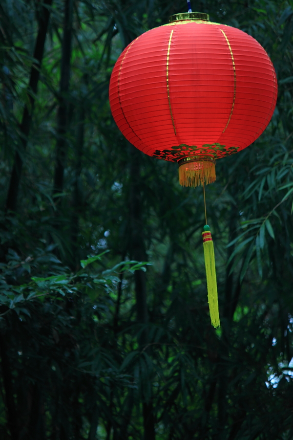 大红灯笼高高挂