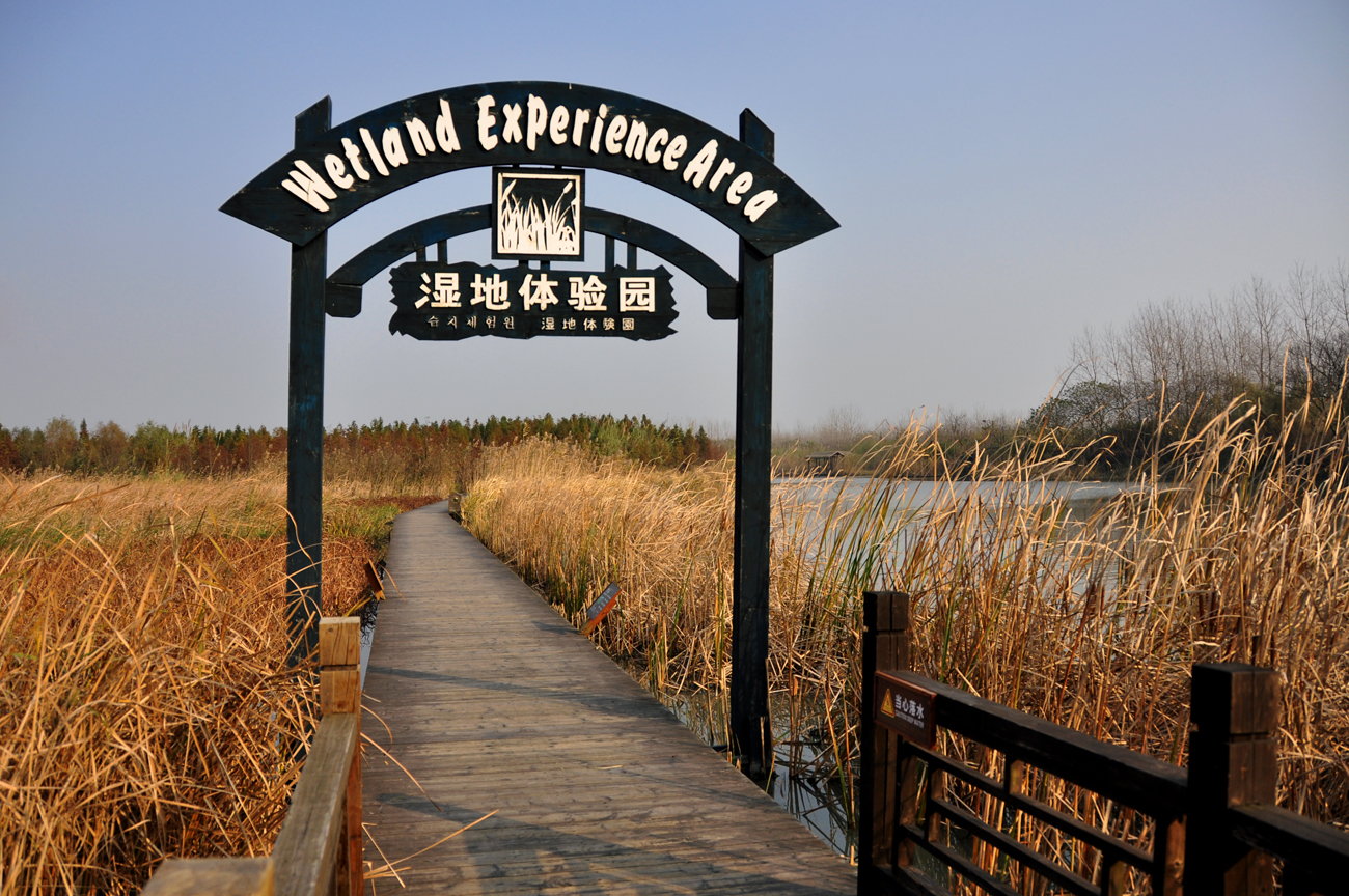 【溱湖国家湿地公园摄影图片】江苏泰州生态摄